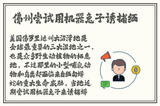 一号嫩叶草和二号嫩叶草的区别